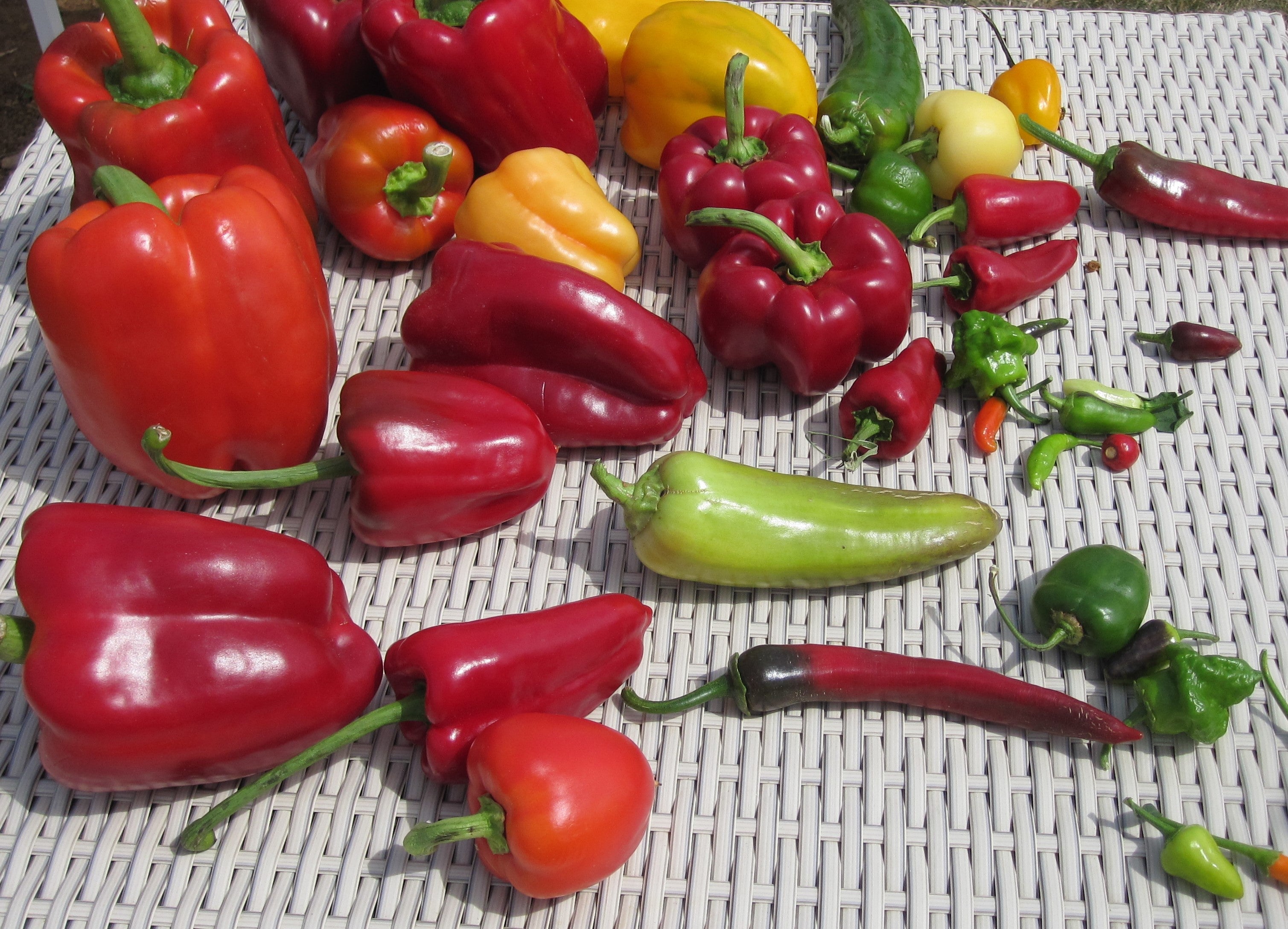 Les différentes variétés de piment