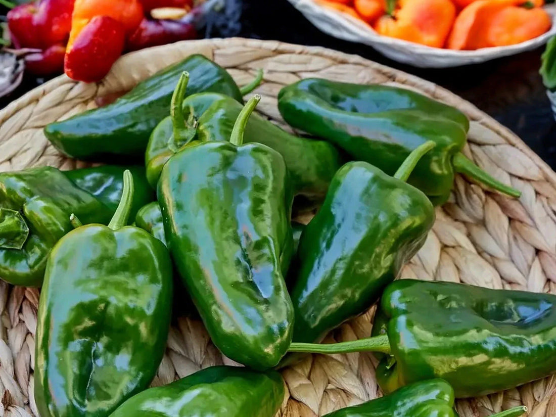 Le piment Poblano