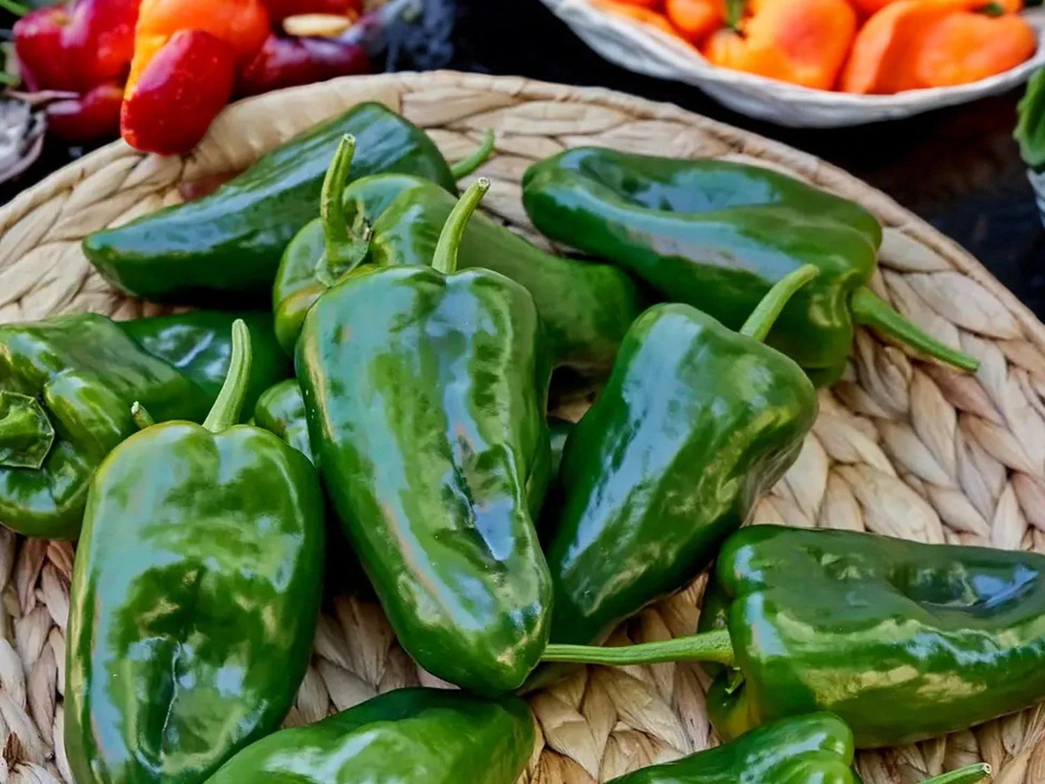 Le piment Poblano